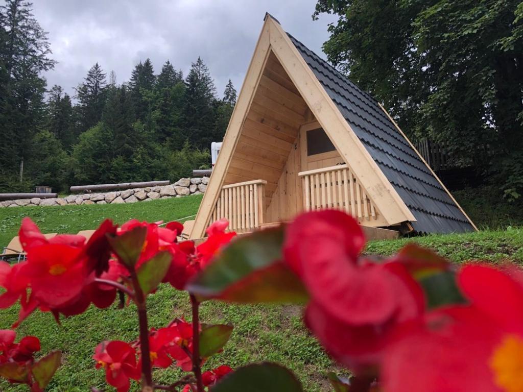 Das Schutzhaus-Bed And Breakfast-Dein Basislager Im Salzkammergut Bad Aussee Extérieur photo